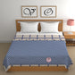 CHHAVI INDIA Printed Double Comforter for AC Room