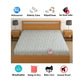 CHHAVI INDIA 210 TC Microfiber Waterproof Printed Fitted (Elastic) Bedsheet