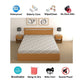CHHAVI INDIA 210 TC Microfiber Waterproof Printed Fitted (Elastic) Bedsheet